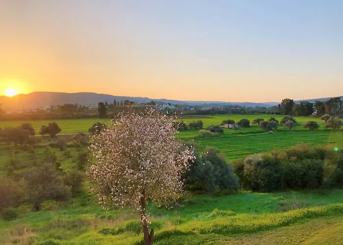 White House With Sea View And Parking شقة *